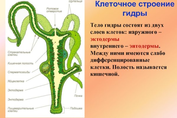 Даркнет кракен отзывы о платформе