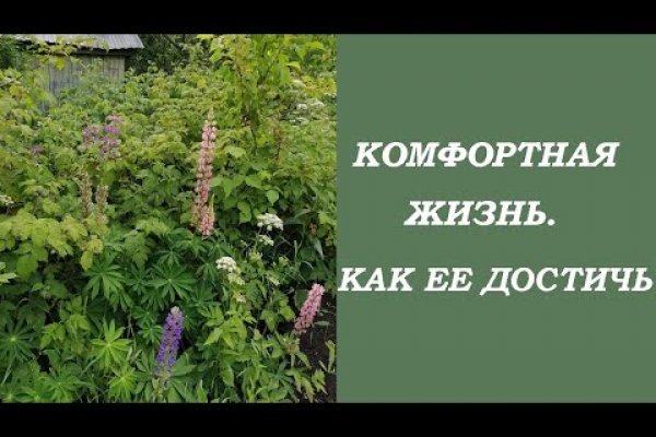 Kraken at сайт