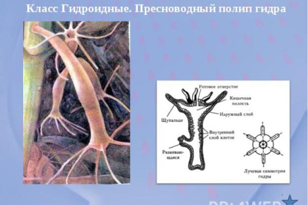 Кракен сайт что будет если зайти