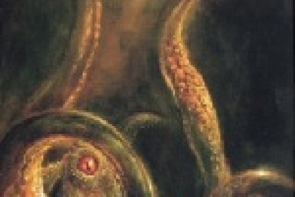 Кракен маркетплейс создатель