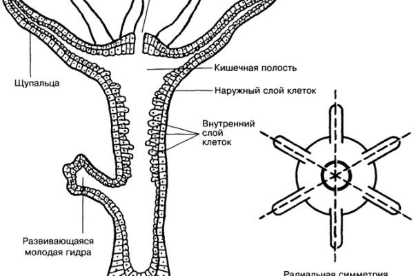 Кракен рынок сайт