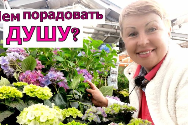 Кракен даркнет зеркало